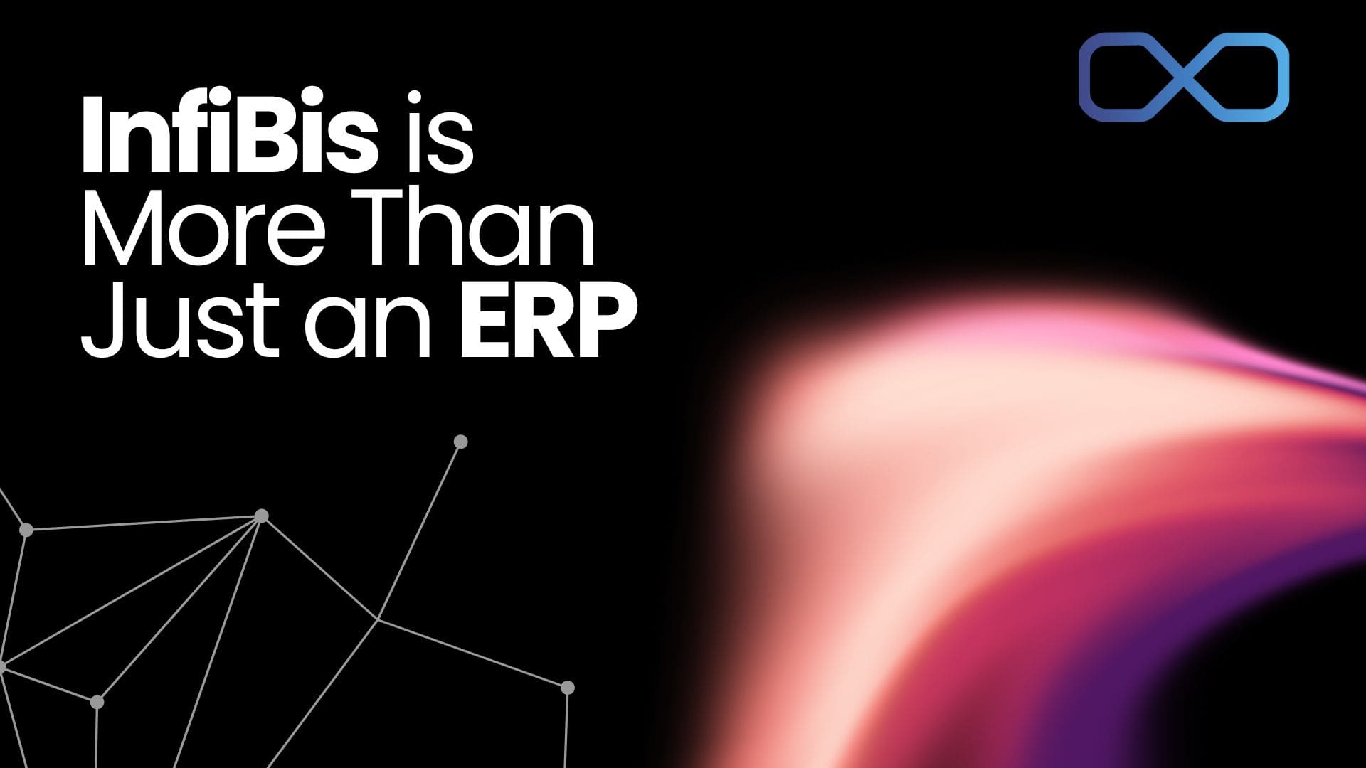 Why InfiBis is More Than Just an ERP